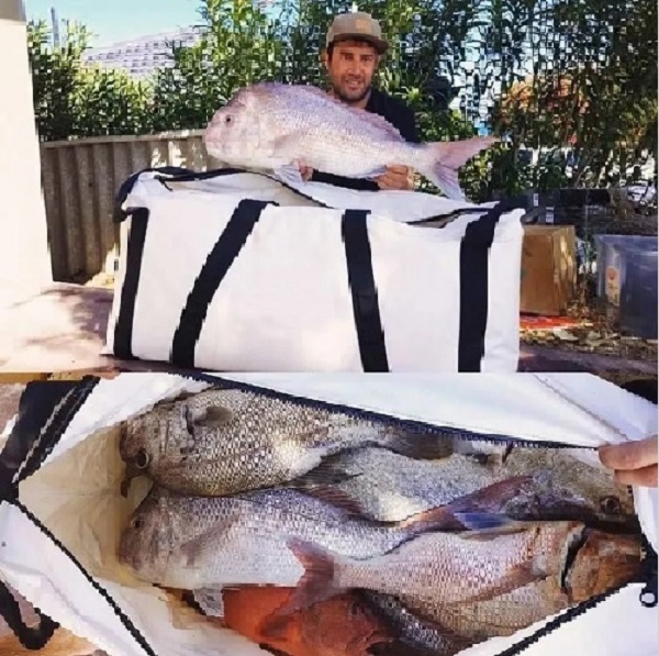 Hladilna torba Insulted Fish